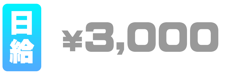 日給3,000円